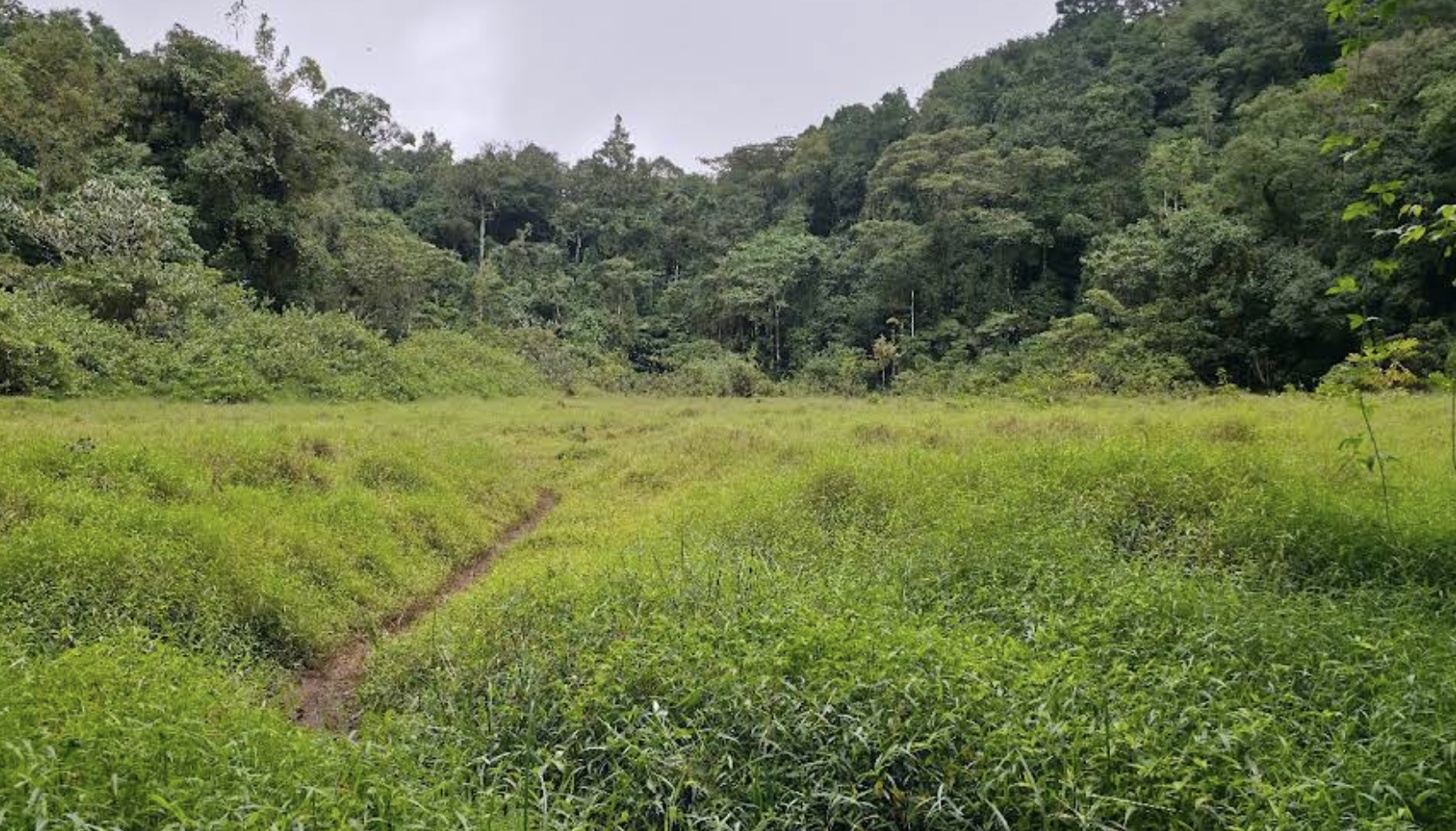 Cratera da Lagoa Amélia